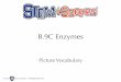 B.9C Enzymes