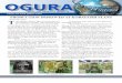 Revised Newsletter - ogura-clutch.com