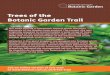 Trees of the Botanic Garden Trail - Amazon Web Services
