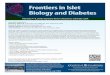 Frontiers in Islet Biology and Diabetes