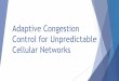 Adaptive Congestion Control for Unpredictable Cellular 