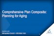 Comprehensive Plan Composite: Planning for Aging