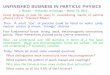 UNFINISHED BUSINESS IN PARTICLE PHYSICS
