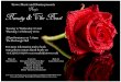 Beauty and the Beast School Musical, 9-11 February 2016 