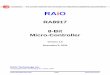 RAiO RA8917 Controller Datasheet - Crystalfontz