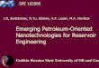 Emerging Petroleum-Oriented Nanotechnologies for Reservoir 