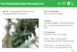 Tree Physiological Data Processing in R