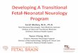 Developing A Transitional Fetal-Neonatal Neurology Program