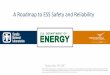 A Roadmap to ESS Safety and Reliability