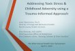 Addressing Toxic Stress & Childhood Adversity using a 
