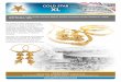 GOLD STAR XL - pelusi.com