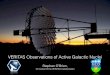 VERITAS Observations of Active Galactic Nuclei