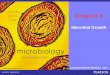 Microbial Growth - NTOU