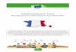 FR Analytical factsheet for France - European Commission