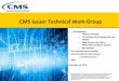 CMS Issuer Technical Work Group