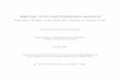 Algebraic cycles and Diophantine geometry - math.mcgill.ca