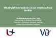 Microbial interactions in an endotracheal biofilm