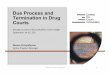 Due Process and Termination in Drug Courts