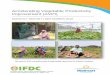 Accelerating Vegetable Productivity Improvement (AVPI) - IFDC