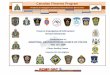 Firearms Investigative & Enforcement Services ... - macp.mb.ca