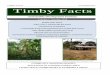 1 TIMBY FACTS  Timby Facts