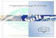 Promotional Strategy of ACI Salt - BRAC University