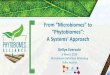 From “Microbiomes” to “Phytobiomes”: A Systems’ Approach