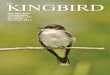 The Kingbird Vol. 65 No. 4 – December 2015