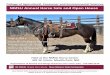 NMSU Annual Horse Sale and Open House