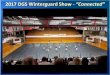 2017 DGS Winterguard Show - “Connected”