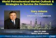 World Petrochemical Market Outlook & Strategies to Survive 