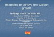 Strategies to achieve low Carbon growth