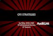CFO STRATEGIES - AuditLink