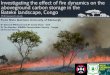 Investigating the effect of fire dynamics on aboveground 