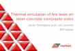 Thermal simulation of fire tests on steel-concrete 