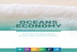 OCEANS ECONOMY - Nelson Mandela University