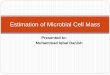 Estimation of Microbial Cell Mass