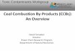 Coal Combustion By-Products (CCBs): An Overview