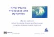 River Plume Processes and Dynamics