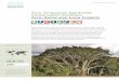 Acre Amazonian Rainforest Conservation Portfolio: Acre 