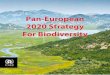 Pan-European 2020 Strategy For Biodiversity