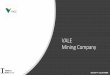 VALE Mining Company