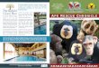 Charity No. 1126939 APE RESCUE CHRONICLE