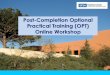 Post-Completion Optional Practical Training (OPT) Online 