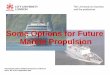 Some Options for Future Marine Propulsion