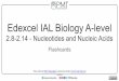 Edexcel IAL Biology A-level