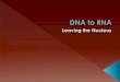 DNA to RNA and Protein Synthesis 2017 - Weebly