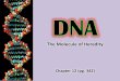 The Molecule of Heredity
