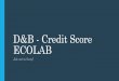 D&B - Credit Score