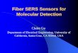 Fiber SERS Sensors for Molecular Detection